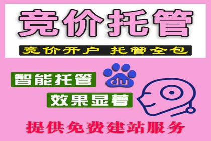 百度推广平台实战：打造爆款广告的秘诀